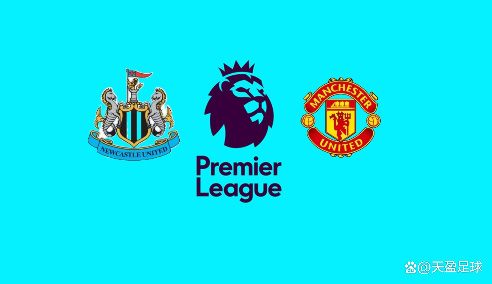 比较普莱亚 比较普莱亚