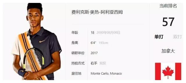 他们不仅提 他们不仅提