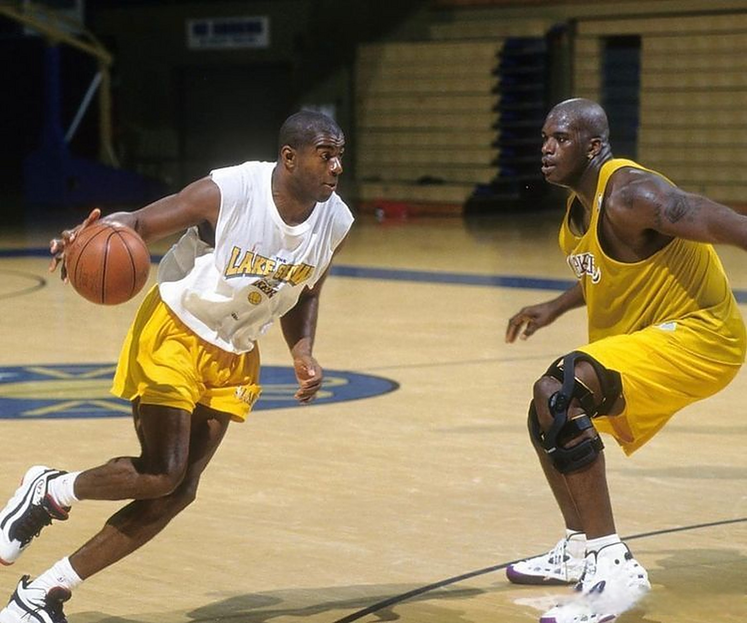 供了宝贵的 供了宝贵的