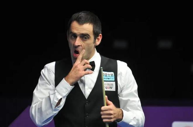 们提供了一 们提供了一