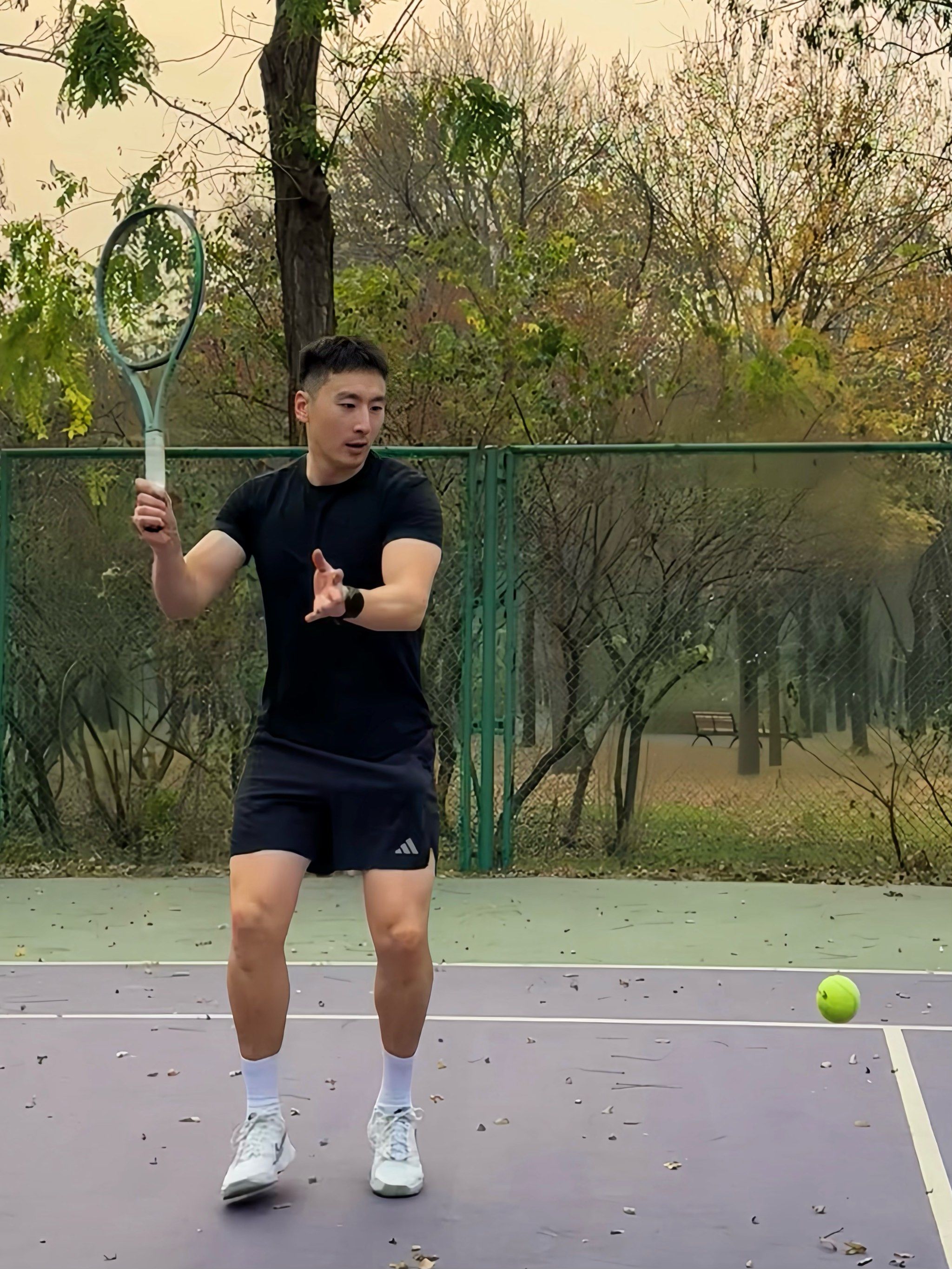 利尼亚的回 利尼亚的回